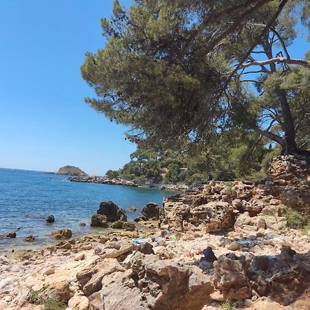 Agréable studio 2/4 pers au calme avec rez-de-jardin Bandol Exterior foto