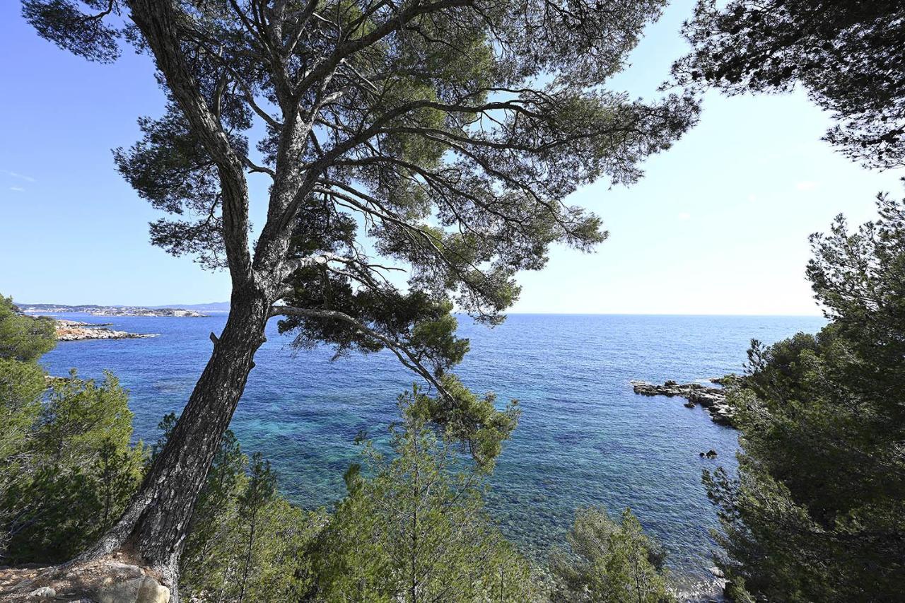 Agréable studio 2/4 pers au calme avec rez-de-jardin Bandol Exterior foto