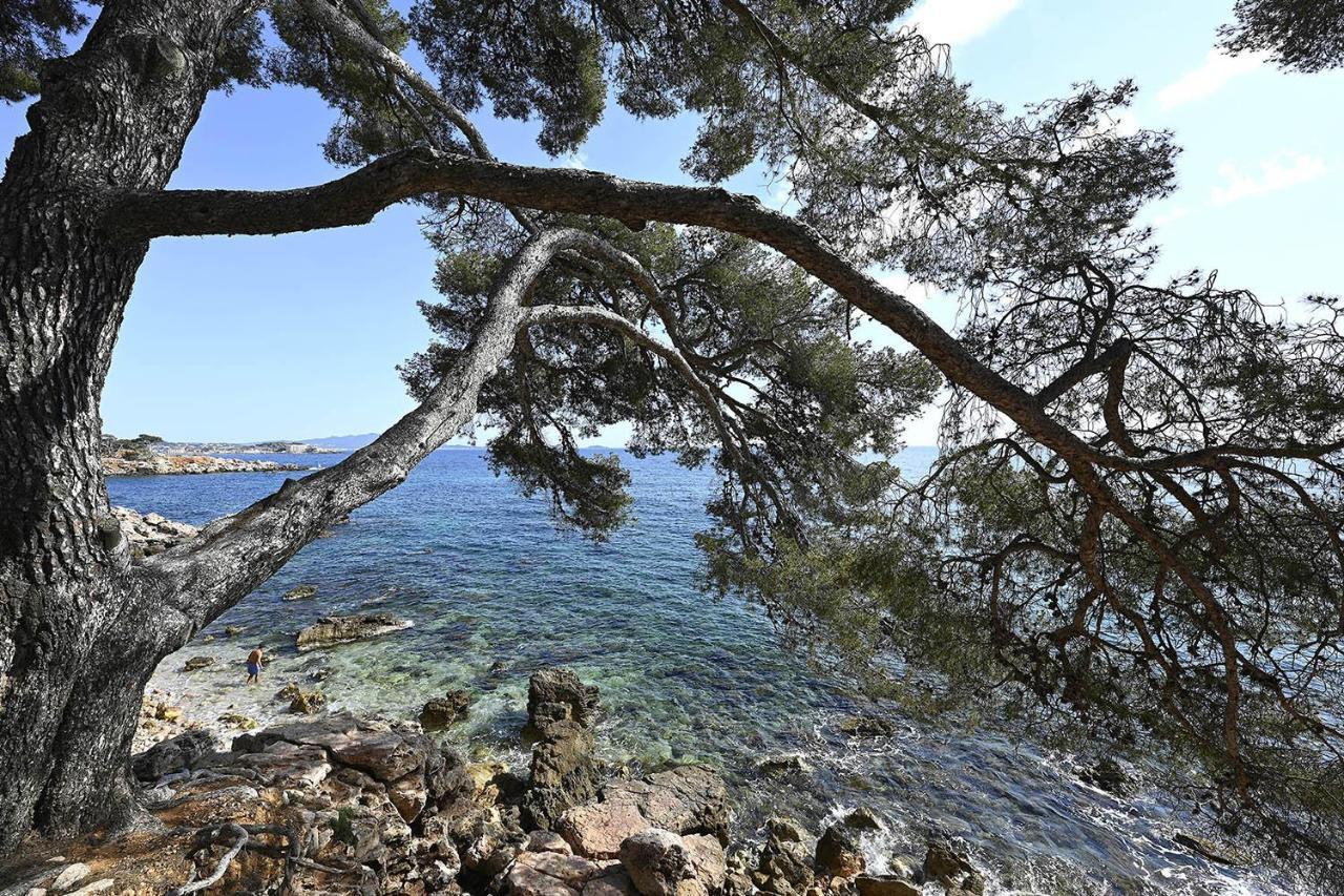 Agréable studio 2/4 pers au calme avec rez-de-jardin Bandol Exterior foto